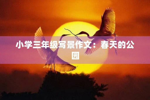 小学三年级写景作文:春天的公园 小学三年级写景作文:春天的公园