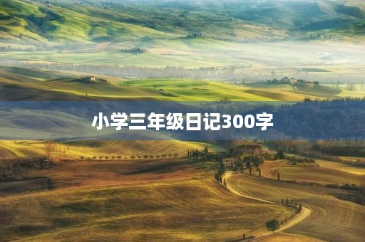 小学三年级日记300字