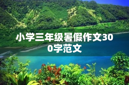 小学三年级暑假作文300字范文 小学三年级暑假作文300字范文