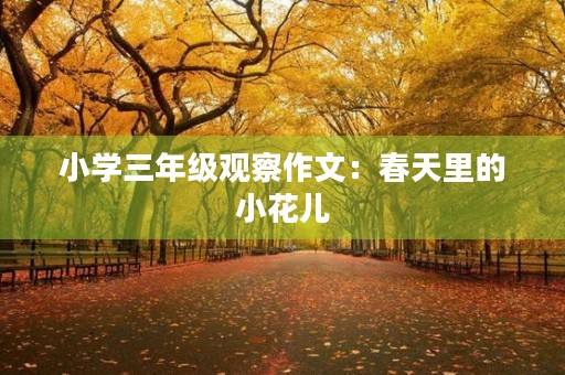 小学三年级观察作文：春天里的小花儿