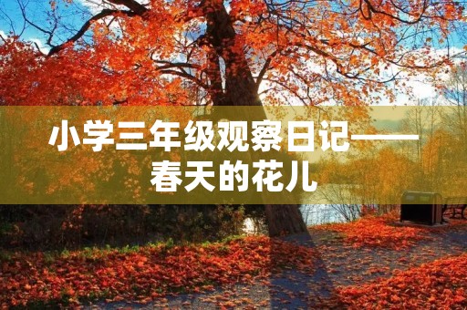 小学三年级观察日记——春天的花儿 小学三年级观察日记——春天的花儿
