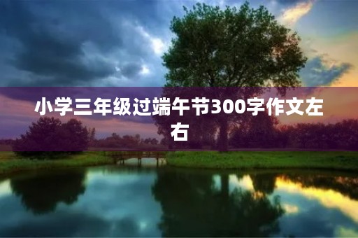 小学三年级过端午节300字作文左右 小学三年级过端午节300字作文左右