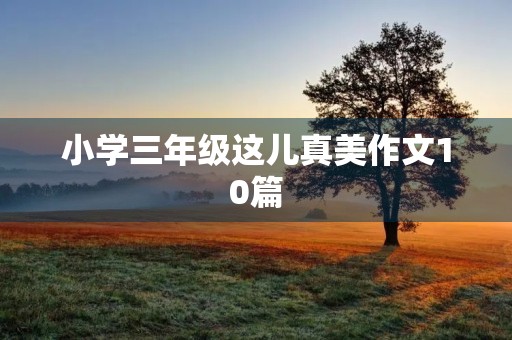 小学三年级这儿真美作文10篇 小学三年级这儿真美作文10篇