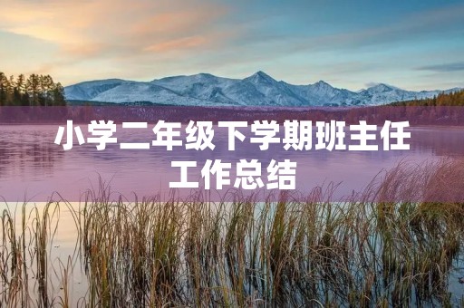 小学二年级下学期班主任工作总结