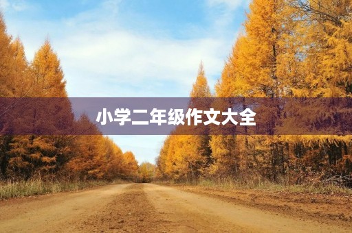 小学二年级作文大全