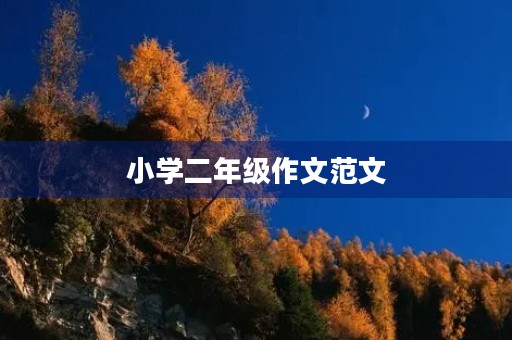 小学二年级作文范文 小学二年级作文范文