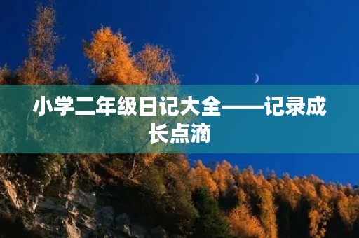 小学二年级日记大全——记录成长点滴