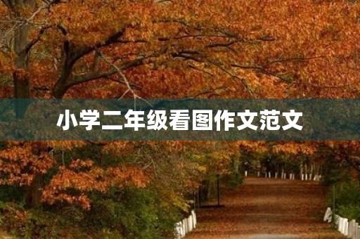 小学二年级看图作文范文
