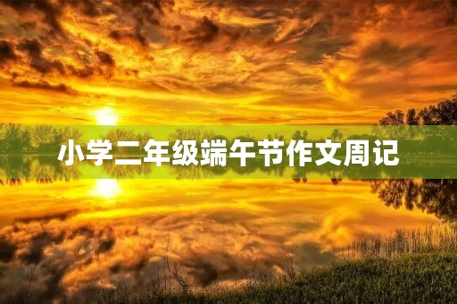 小学二年级端午节作文周记 小学二年级端午节作文周记
