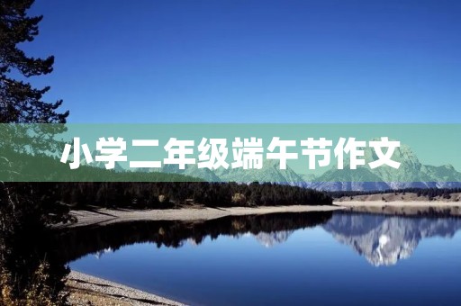 小学二年级端午节作文