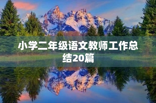 小学二年级语文教师工作总结20篇