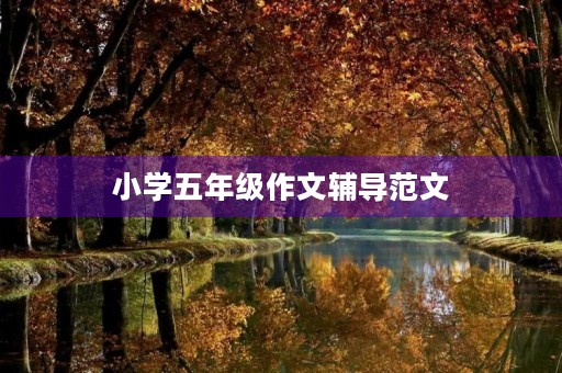 小学五年级作文辅导范文 小学五年级作文辅导范文