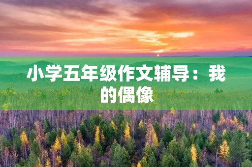 小学五年级作文辅导：我的偶像