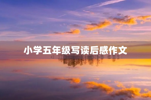 小学五年级写读后感作文