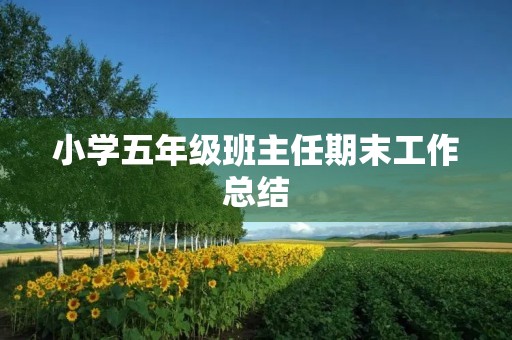 小学五年级班主任期末工作总结