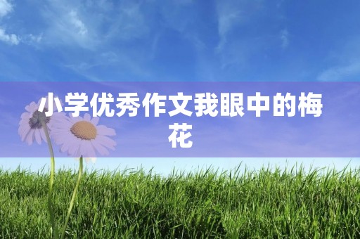小学优秀作文我眼中的梅花