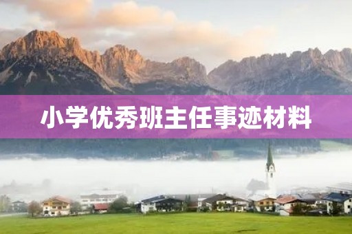 小学优秀班主任事迹材料