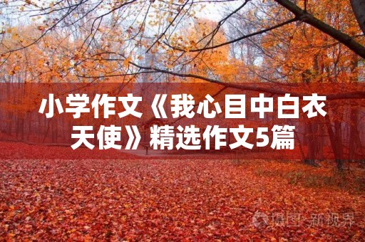 小学作文《我心目中白衣天使》精选作文5篇 小学作文《我心目中白衣天使》精选作文5篇