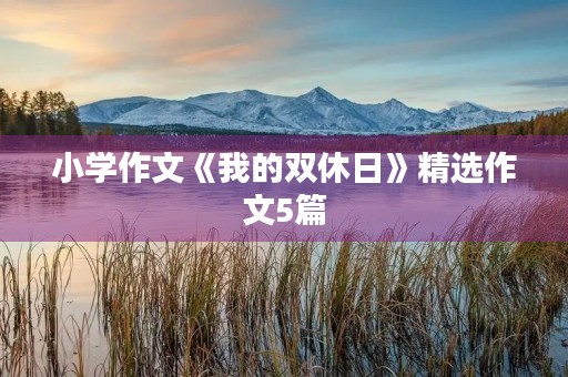 小学作文《我的双休日》精选作文5篇 小学作文《我的双休日》精选作文5篇