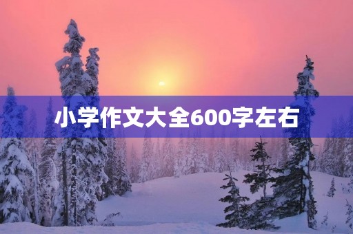小学作文大全600字左右 小学作文大全600字左右