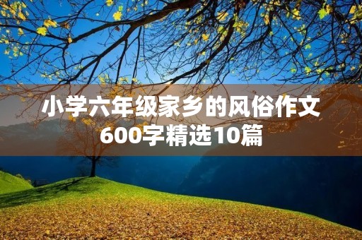 小学六年级家乡的风俗作文600字精选10篇