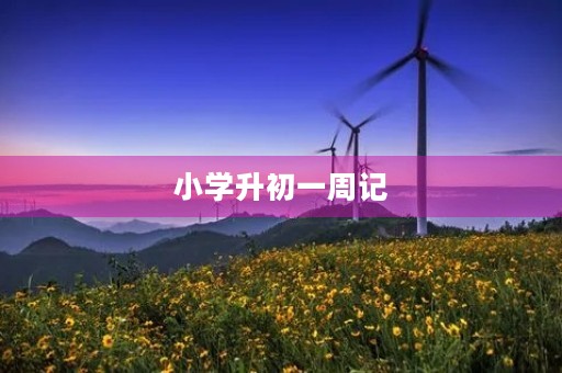 小学升初一周记