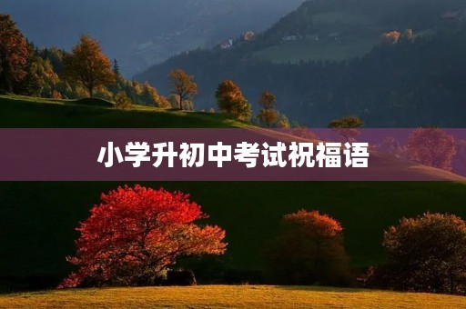 小学升初中考试祝福语(小学生考试简短鼓励语)
