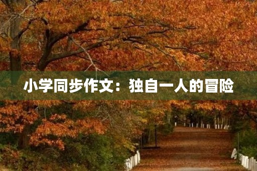 小学同步作文：独自一人的冒险