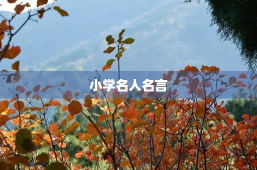 小学名人名言，小学名人名言短句