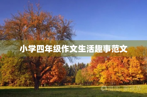 小学四年级作文生活趣事范文 小学四年级作文生活趣事范文