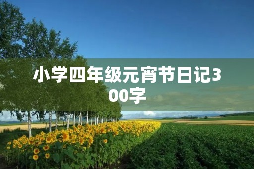 小学四年级元宵节日记300字 小学四年级元宵节日记300字