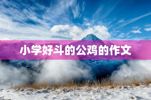小学好斗的公鸡的作文 小学好斗的公鸡的作文