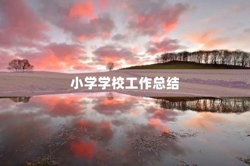 小学学校工作总结