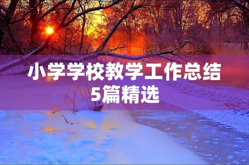 小学学校教学工作总结5篇精选