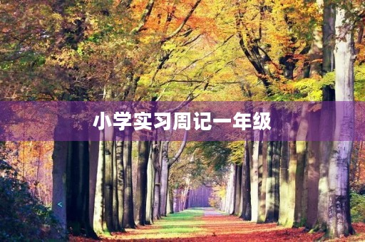 小学实习周记一年级 小学实习周记一年级