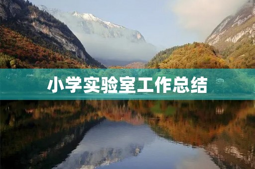 小学实验室工作总结