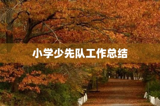 小学少先队工作总结