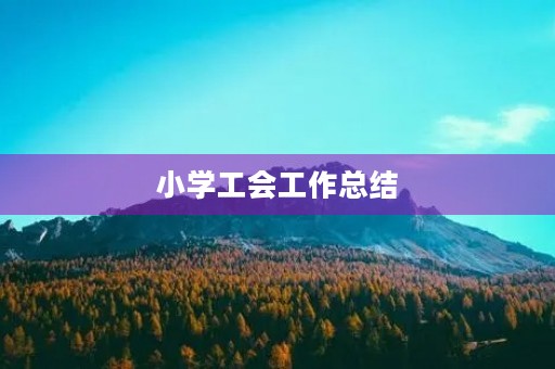 小学工会工作总结