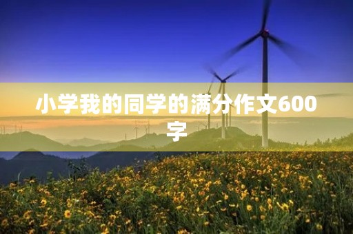 小学我的同学的满分作文600字 小学我的同学的满分作文600字