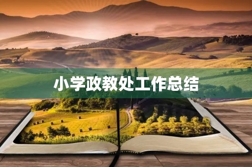 小学政教处工作总结 小学政教处工作总结