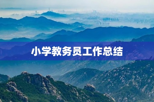 小学教务员工作总结