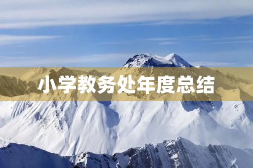 小学教务处年度总结