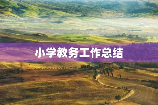 小学教务工作总结