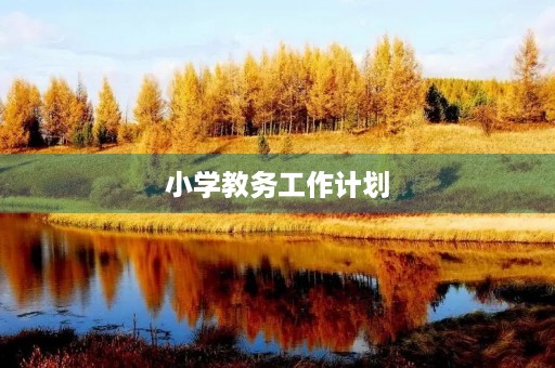 小学教务工作计划 小学教务工作计划