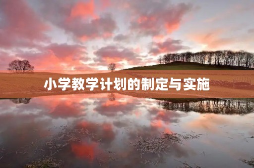 小学教学计划的制定与实施