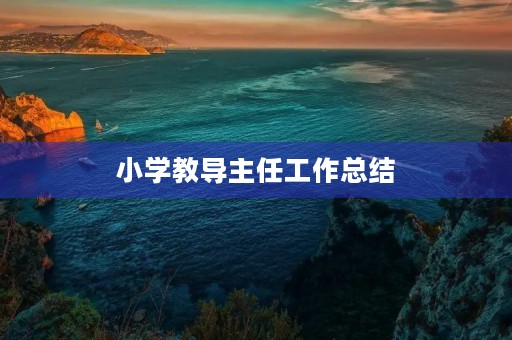小学教导主任工作总结