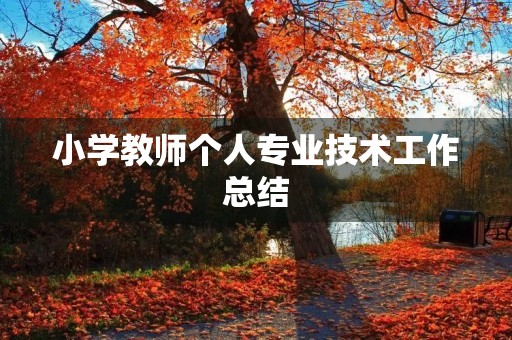 小学教师个人专业技术工作总结