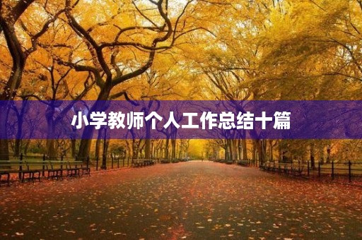 小学教师个人工作总结十篇