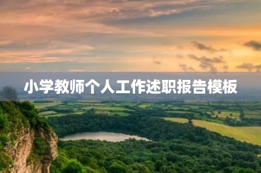 小学教师个人工作述职报告模板
