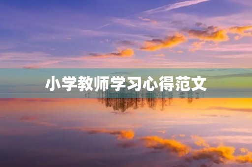 小学教师学习心得范文